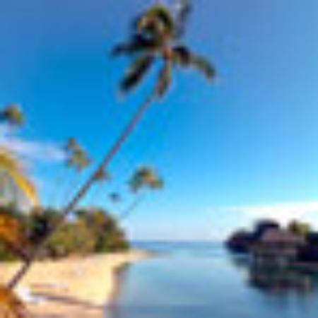 Mountain Dream Creamery